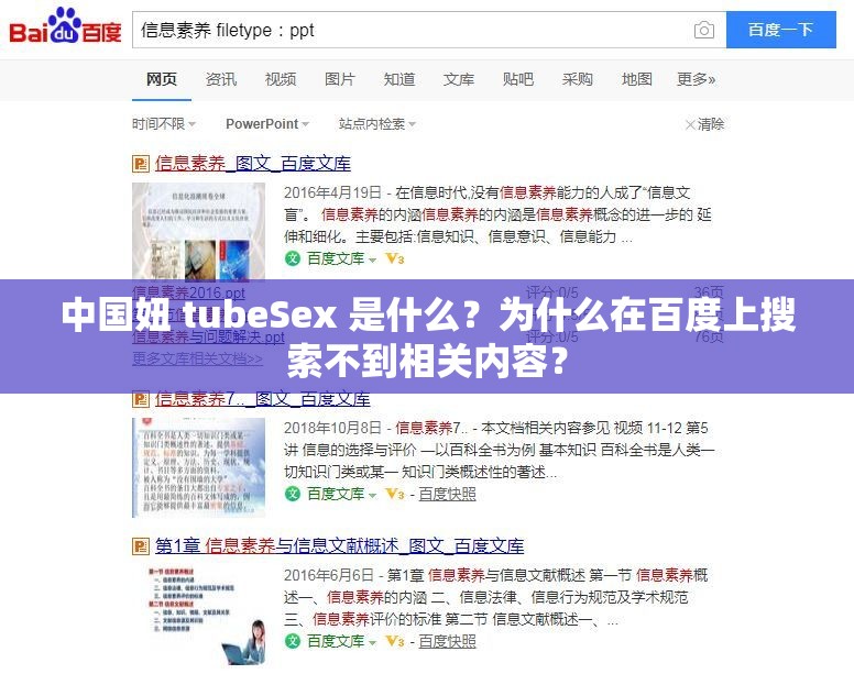 中国妞 tubeSex 是什么？为什么在百度上搜索不到相关内容？