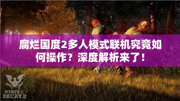 腐烂国度2多人模式联机究竟如何操作？深度解析来了！