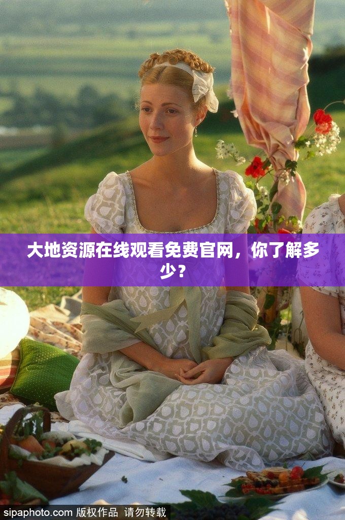 大地资源在线观看免费官网，你了解多少？