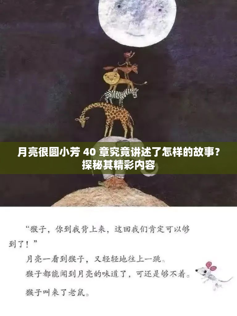 月亮很圆小芳 40 章究竟讲述了怎样的故事？探秘其精彩内容