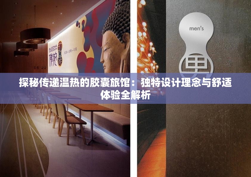 探秘传递温热的胶囊旅馆：独特设计理念与舒适体验全解析