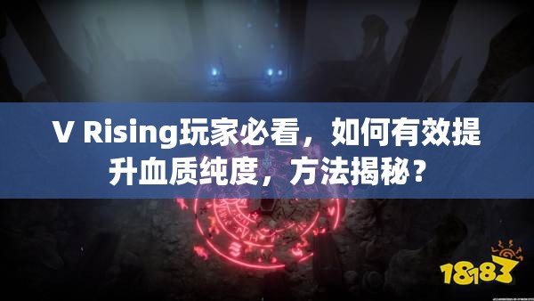 V Rising玩家必看，如何有效提升血质纯度，方法揭秘？