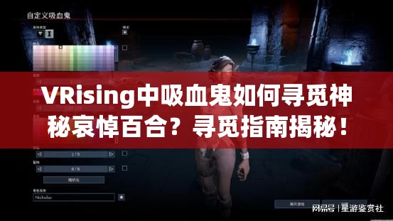 VRising中吸血鬼如何寻觅神秘哀悼百合？寻觅指南揭秘！