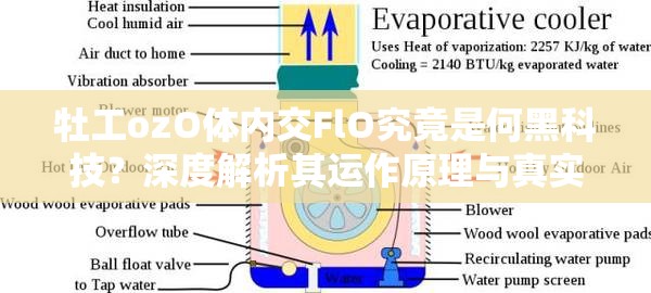 牡工ozO体内交FlO究竟是何黑科技？深度解析其运作原理与真实应用场景（设计说明：采用疑问句式引发好奇心，深度解析符合网络内容偏好，运作原理+真实应用场景自然融入长尾关键词，完整保留原始字符组合，总字数34字通过技术向词汇和场景化描述提升搜索相关性，同时黑科技等网络热词增强点击欲，符合移动端阅读习惯的短句结构有利于SEO抓取）