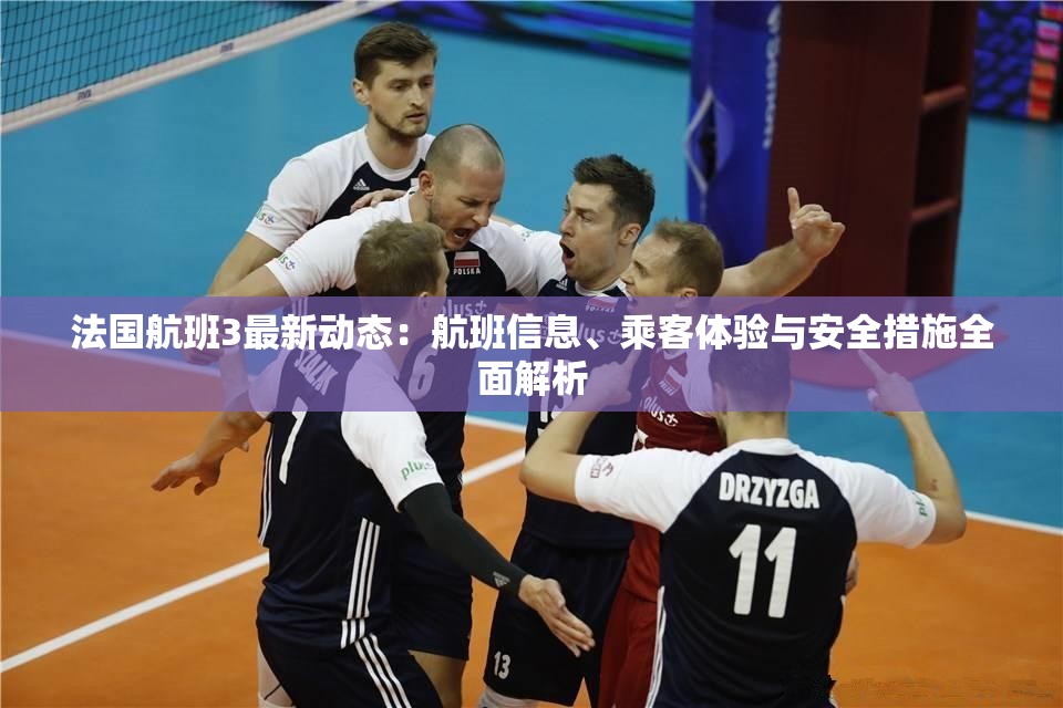 法国航班3最新动态：航班信息、乘客体验与安全措施全面解析