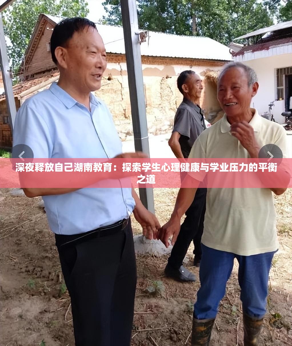 深夜释放自己湖南教育：探索学生心理健康与学业压力的平衡之道