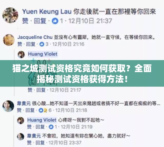 猫之城测试资格究竟如何获取？全面揭秘测试资格获得方法！