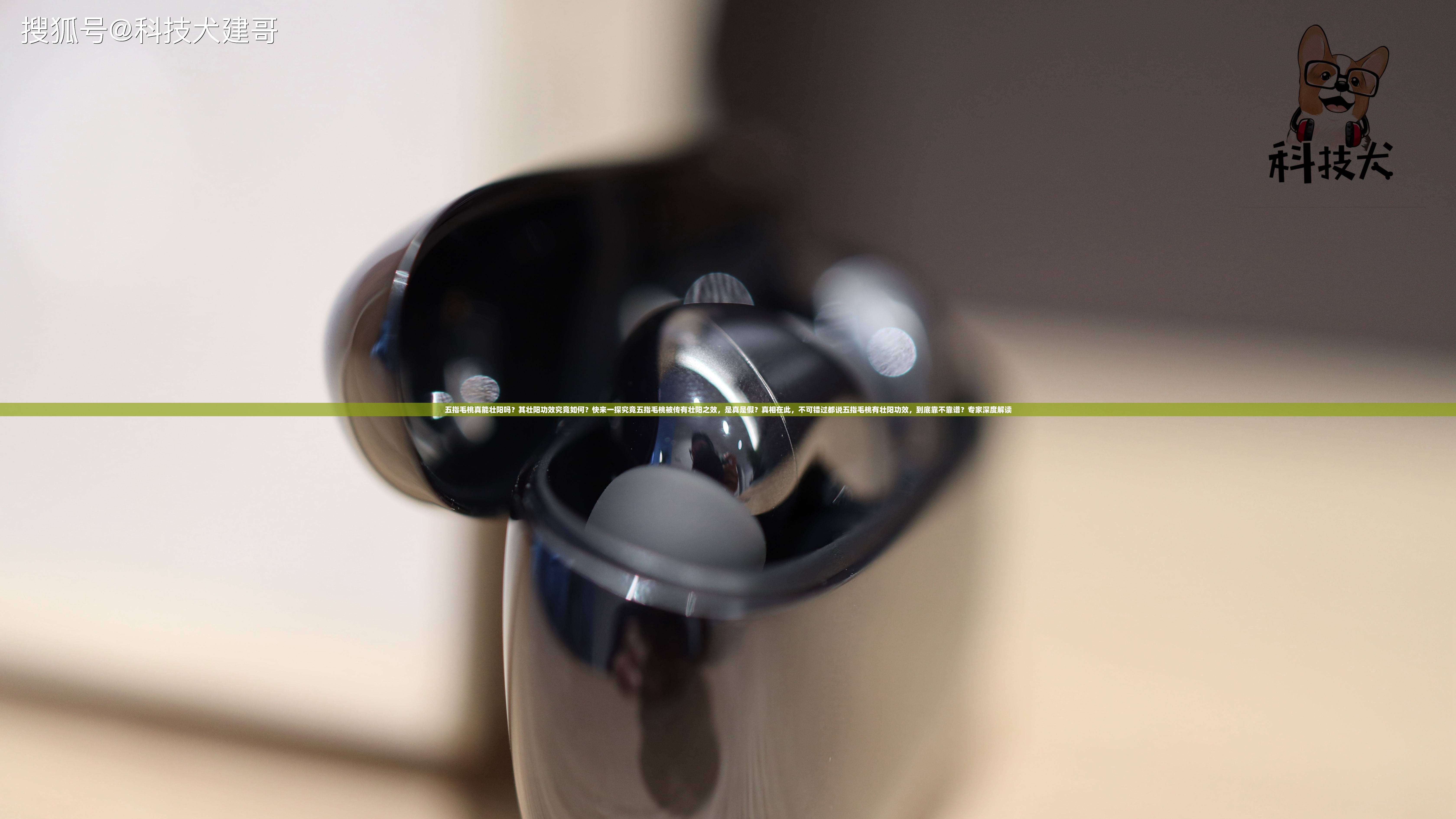 五指毛桃真能壮阳吗？其壮阳功效究竟如何？快来一探究竟五指毛桃被传有壮阳之效，是真是假？真相在此，不可错过都说五指毛桃有壮阳功效，到底靠不靠谱？专家深度解读