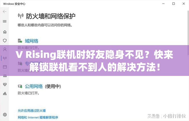 V Rising联机时好友隐身不见？快来解锁联机看不到人的解决方法！