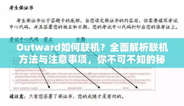 Outward如何联机？全面解析联机方法与注意事项，你不可不知的秘诀！