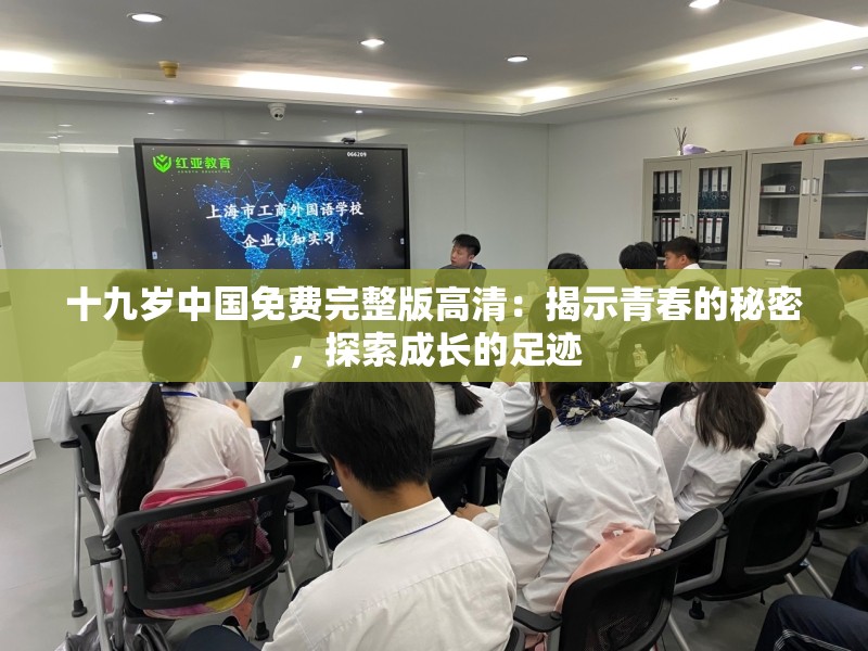 十九岁中国免费完整版高清：揭示青春的秘密，探索成长的足迹
