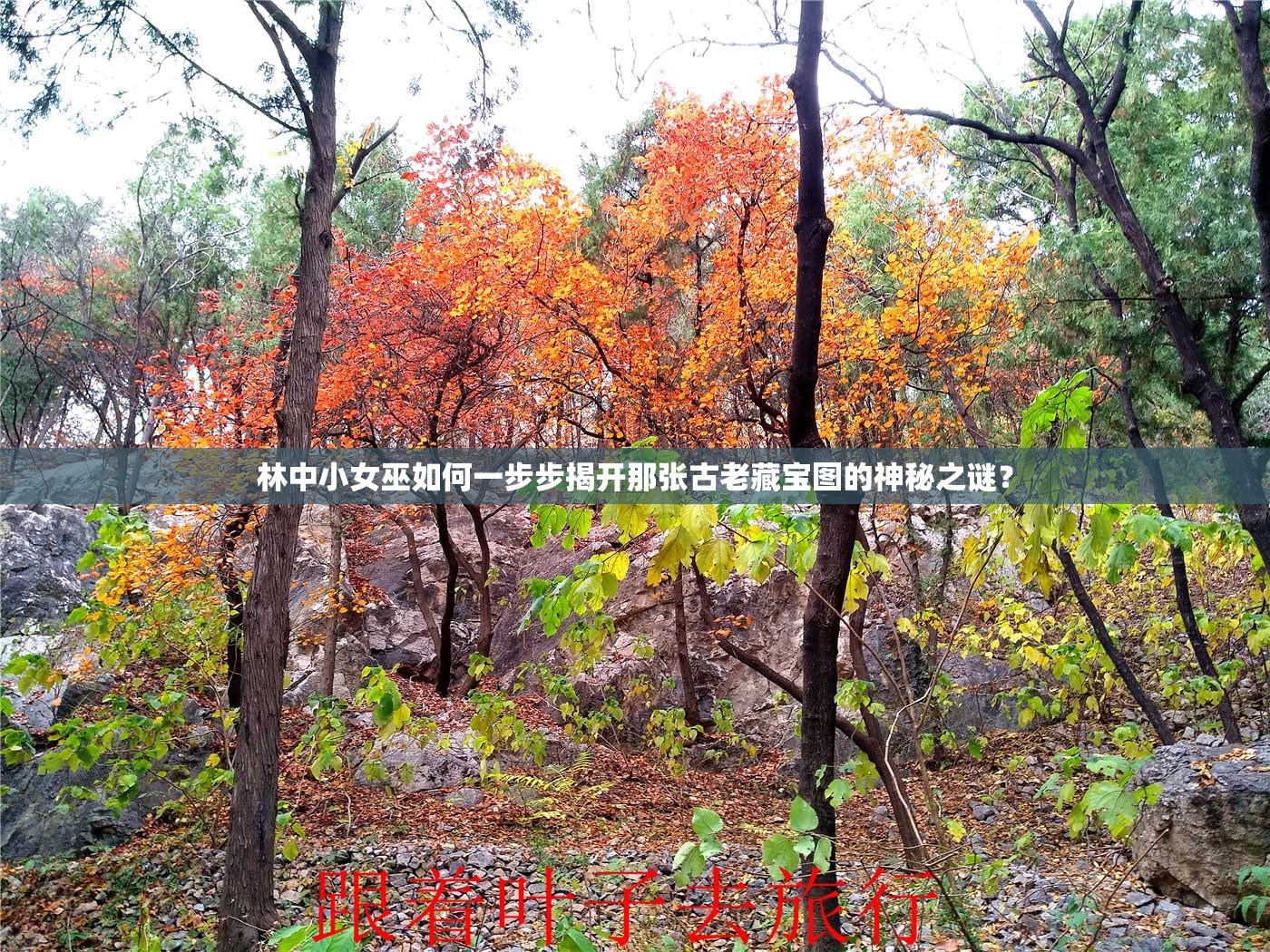 林中小女巫如何一步步揭开那张古老藏宝图的神秘之谜？