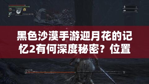 黑色沙漠手游迎月花的记忆2有何深度秘密？位置与误解全面揭秘了吗？