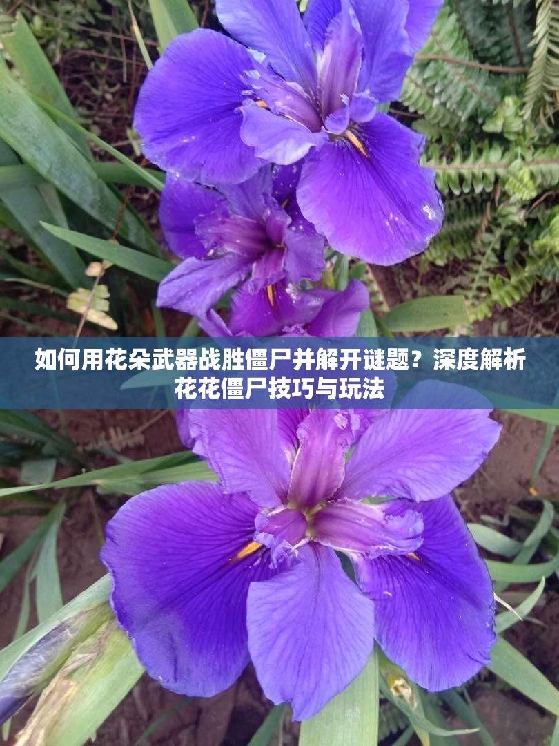 如何用花朵武器战胜僵尸并解开谜题？深度解析花花僵尸技巧与玩法