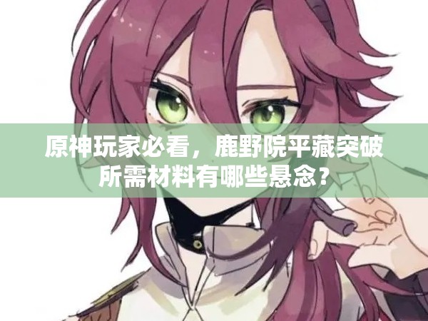 原神玩家必看，鹿野院平藏突破所需材料有哪些悬念？