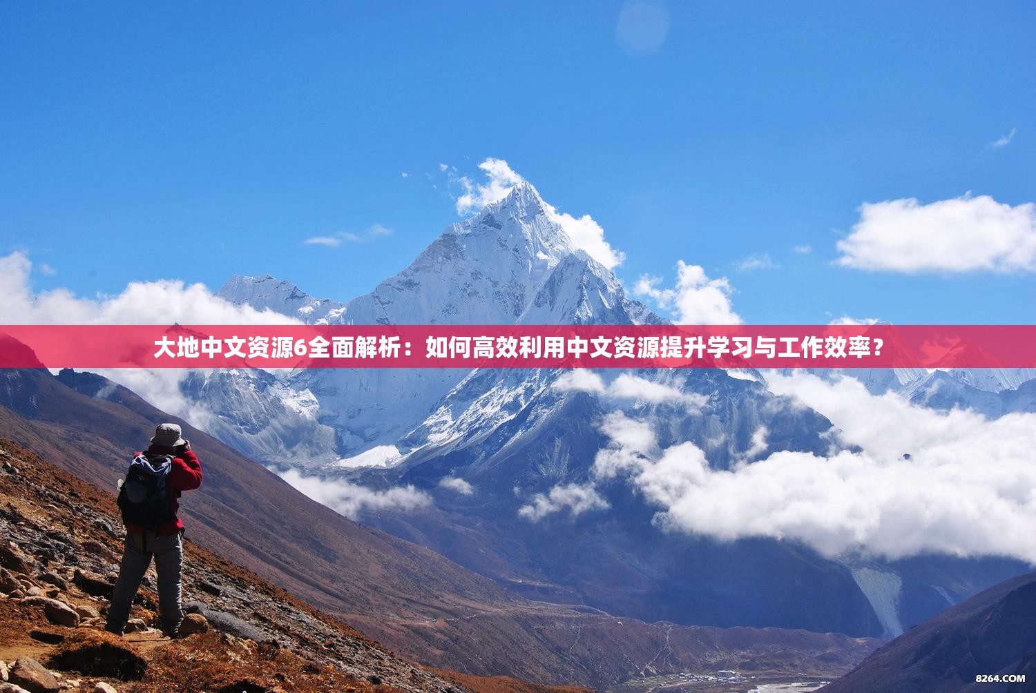 大地中文资源6全面解析：如何高效利用中文资源提升学习与工作效率？