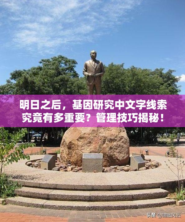 明日之后，基因研究中文字线索究竟有多重要？管理技巧揭秘！