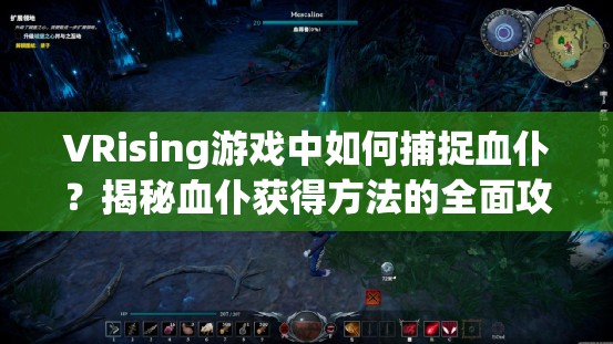 VRising游戏中如何捕捉血仆？揭秘血仆获得方法的全面攻略
