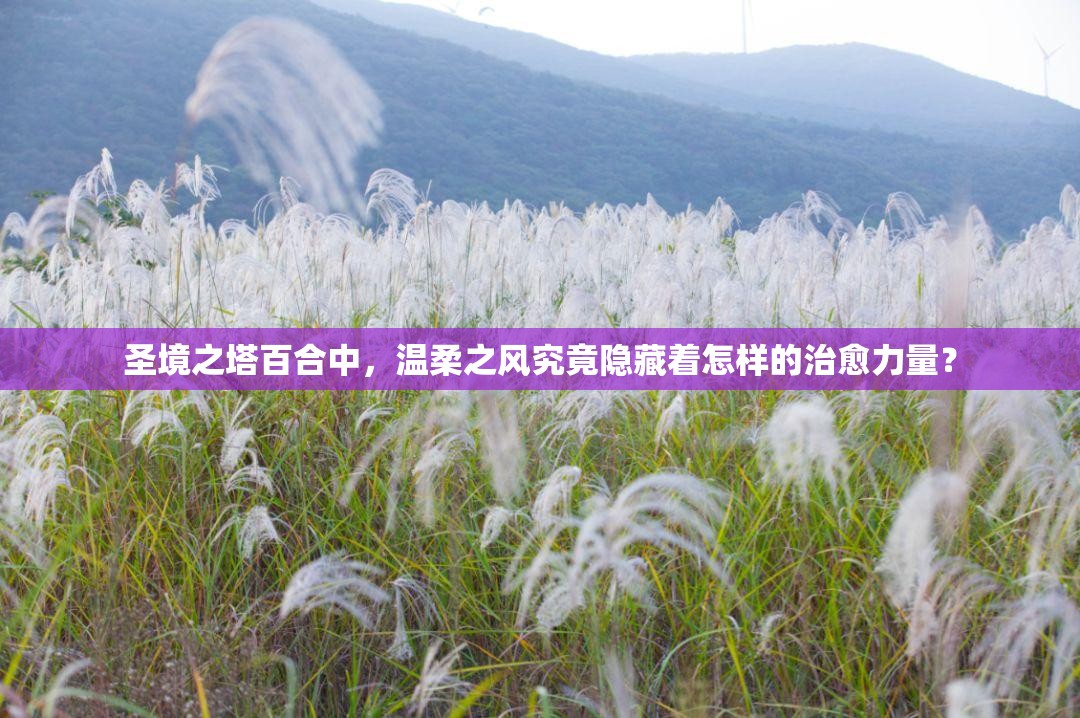 圣境之塔百合中，温柔之风究竟隐藏着怎样的治愈力量？