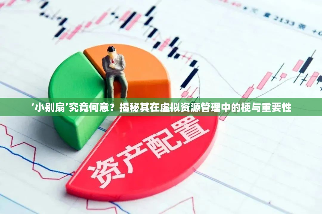 ‘小别扇’究竟何意？揭秘其在虚拟资源管理中的梗与重要性