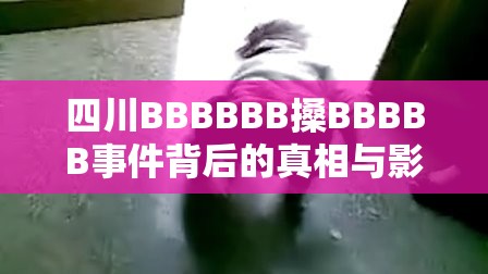 四川BBBBBB搡BBBBB事件背后的真相与影响：当地文化与历史背景
