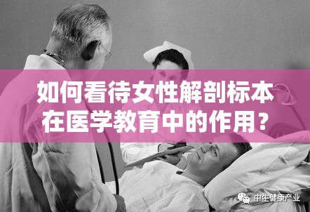 如何看待女性解剖标本在医学教育中的作用？