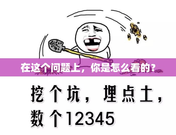 在这个问题上，你是怎么看的？