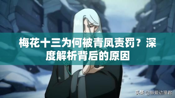 梅花十三为何被青凤责罚？深度解析背后的原因