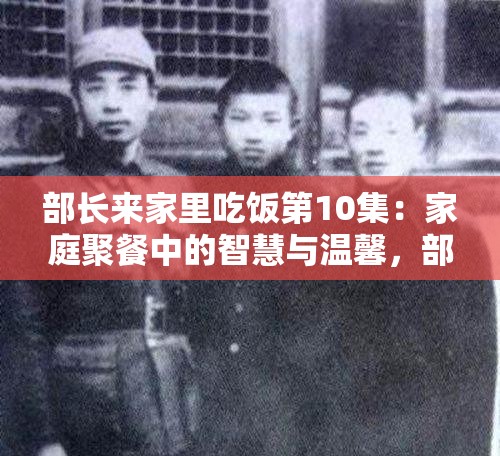 部长来家里吃饭第10集：家庭聚餐中的智慧与温馨，部长分享生活与工作的平衡之道