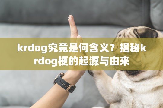 krdog究竟是何含义？揭秘krdog梗的起源与由来