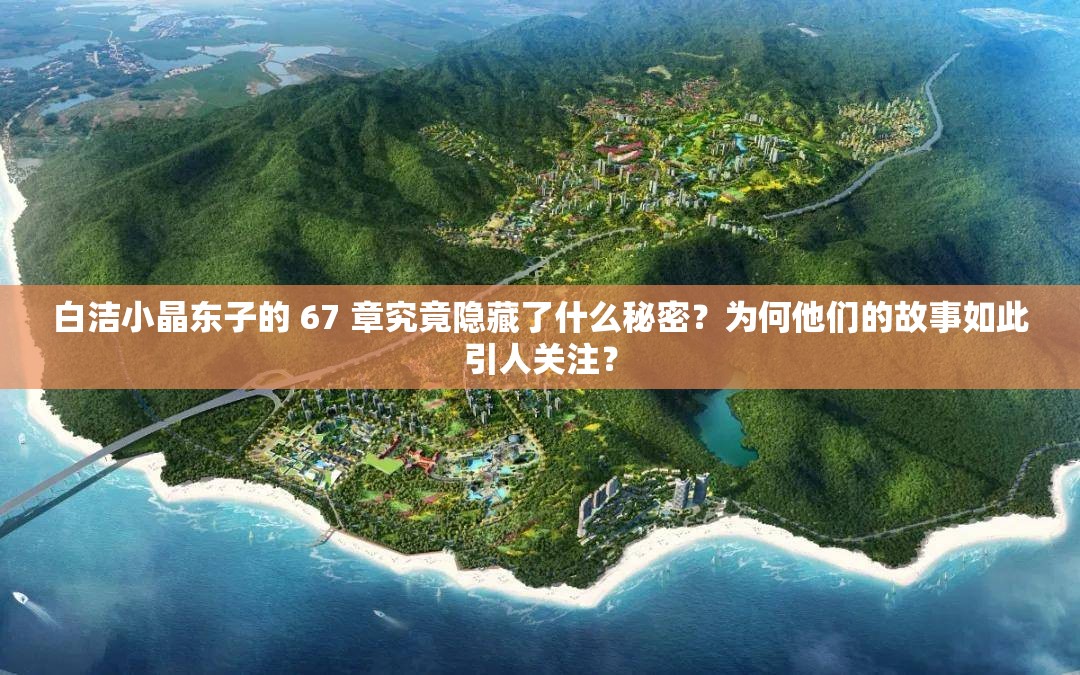 白洁小晶东子的 67 章究竟隐藏了什么秘密？为何他们的故事如此引人关注？