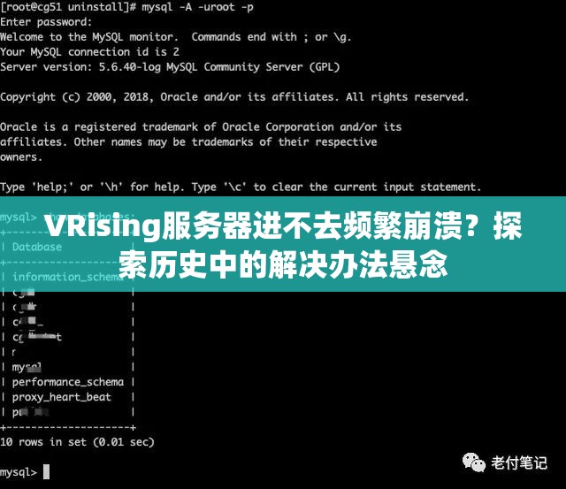 VRising服务器进不去频繁崩溃？探索历史中的解决办法悬念