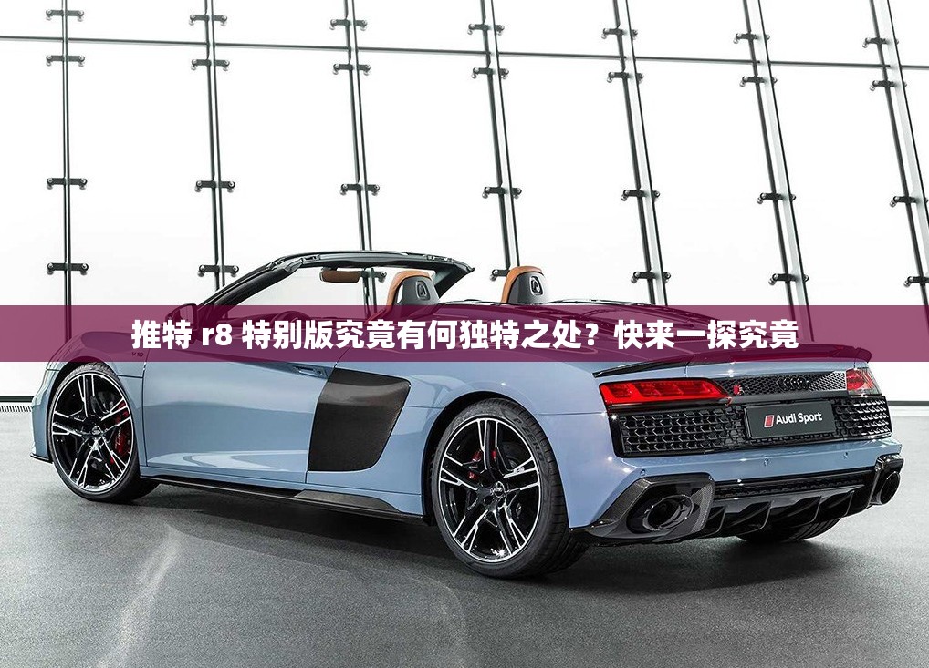 推特 r8 特别版究竟有何独特之处？快来一探究竟