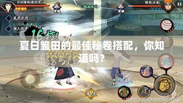 夏日雏田的最佳秘卷搭配，你知道吗？