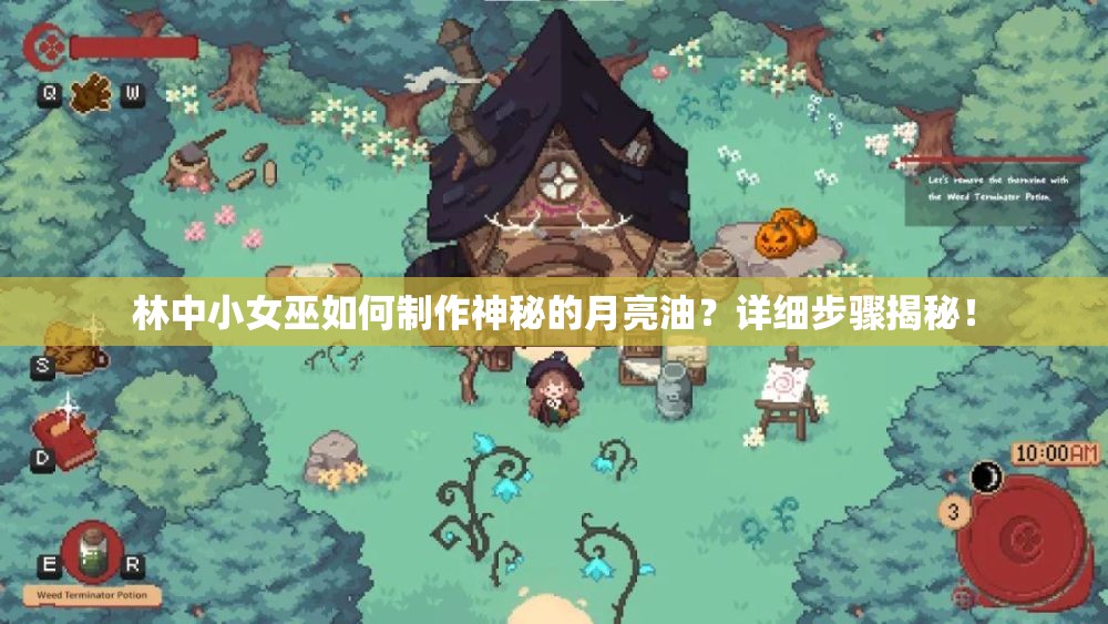 林中小女巫如何制作神秘的月亮油？详细步骤揭秘！