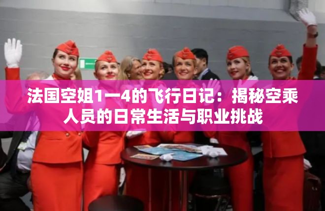 法国空姐1一4的飞行日记：揭秘空乘人员的日常生活与职业挑战