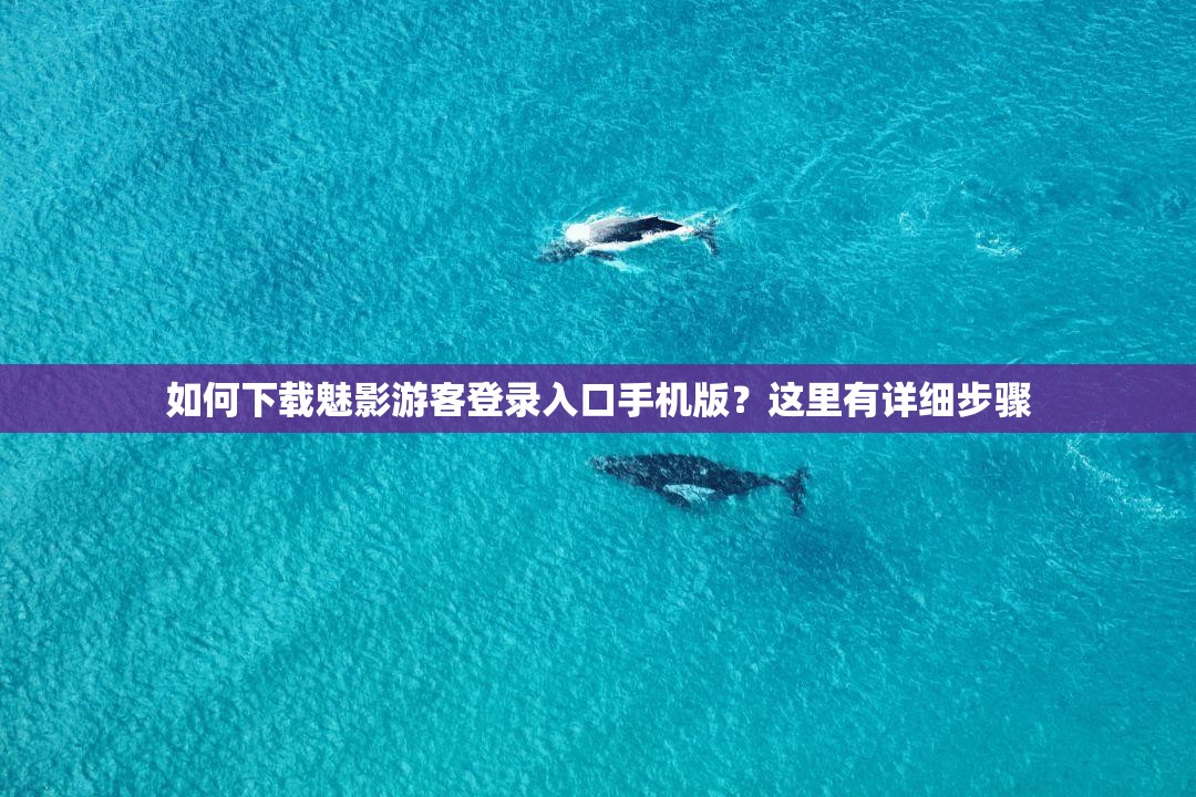 如何下载魅影游客登录入口手机版？这里有详细步骤