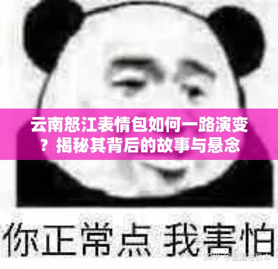 云南怒江表情包如何一路演变？揭秘其背后的故事与悬念