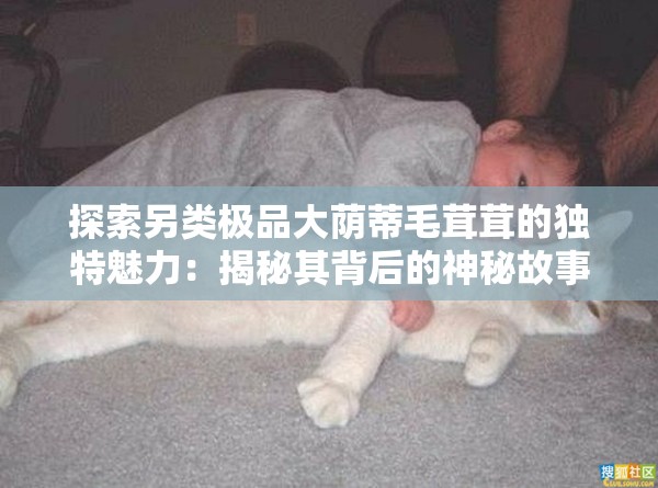 探索另类极品大荫蒂毛茸茸的独特魅力：揭秘其背后的神秘故事与自然奇观
