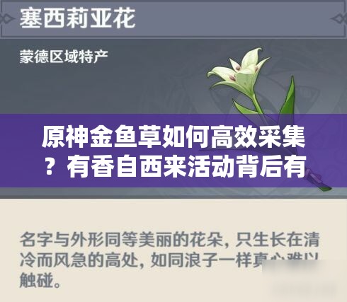 原神金鱼草如何高效采集？有香自西来活动背后有何深度秘密？
