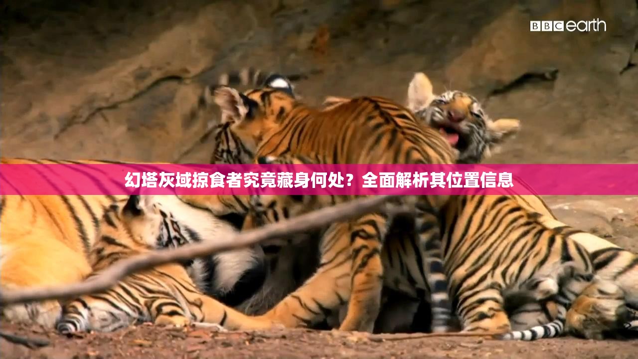 幻塔灰域掠食者究竟藏身何处？全面解析其位置信息