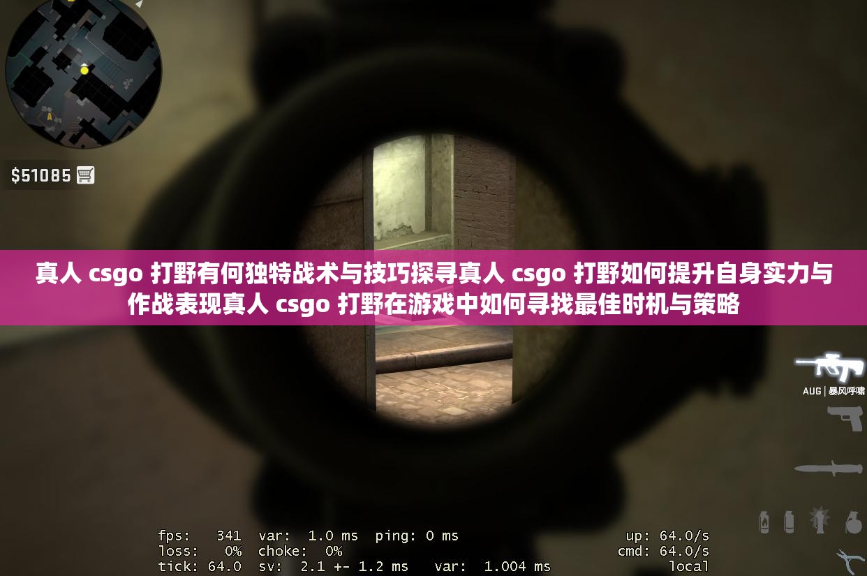 真人 csgo 打野有何独特战术与技巧探寻真人 csgo 打野如何提升自身实力与作战表现真人 csgo 打野在游戏中如何寻找最佳时机与策略