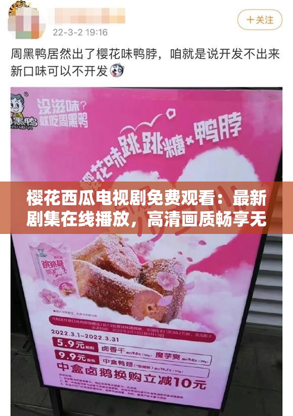 樱花西瓜电视剧免费观看：最新剧集在线播放，高清画质畅享无广告体验