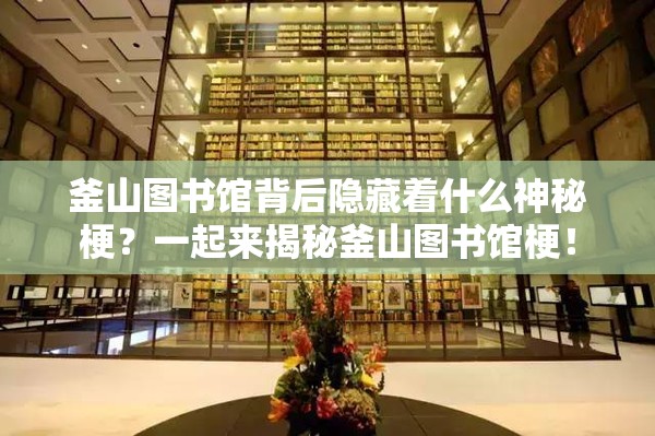 釜山图书馆背后隐藏着什么神秘梗？一起来揭秘釜山图书馆梗！