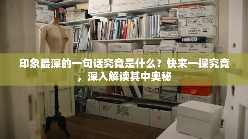 印象最深的一句话究竟是什么？快来一探究竟，深入解读其中奥秘