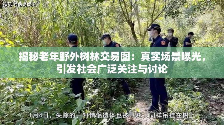 揭秘老年野外树林交易图：真实场景曝光，引发社会广泛关注与讨论