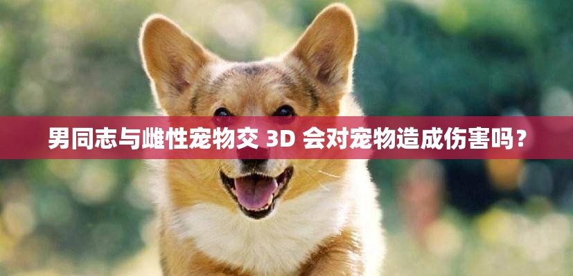 男同志与雌性宠物交 3D 会对宠物造成伤害吗？