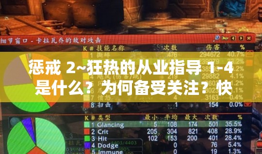 惩戒 2~狂热的从业指导 1-4 是什么？为何备受关注？快来一探究竟