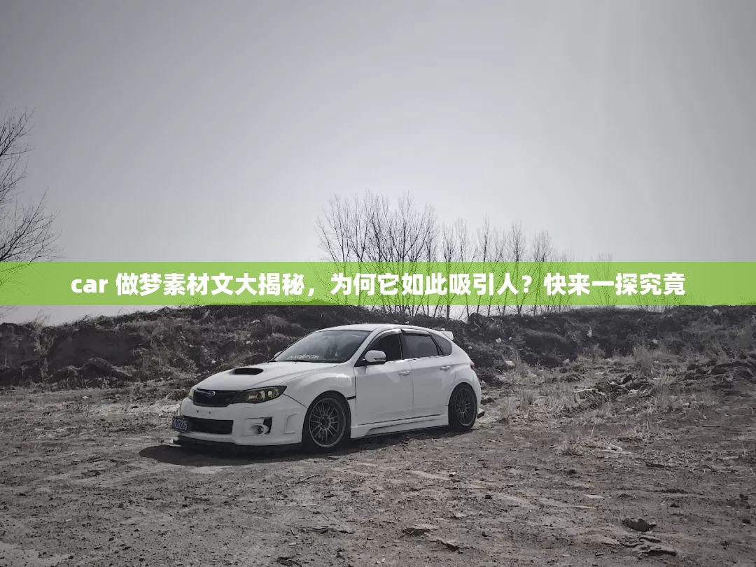 car 做梦素材文大揭秘，为何它如此吸引人？快来一探究竟