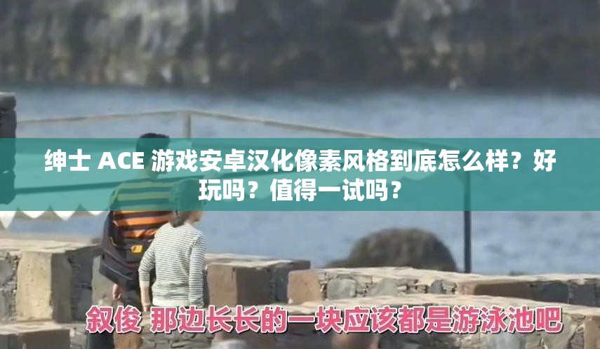 绅士 ACE 游戏安卓汉化像素风格到底怎么样？好玩吗？值得一试吗？